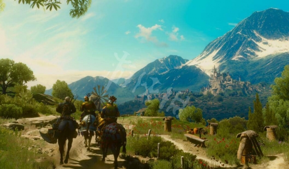 巫师3白海鸥材料哪买(巫师3白海鸥材料在哪买)