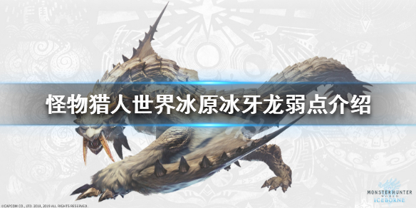 怪物猎人世界冰原冰牙龙弱什么属性 怪物猎人世界冰原碎龙弱什么属性
