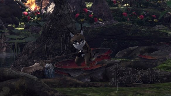 怪物猎人世界冰原拍照任务怎么做 观察任务图鉴+触发方法大全 森林虫笼族：确认或警惕