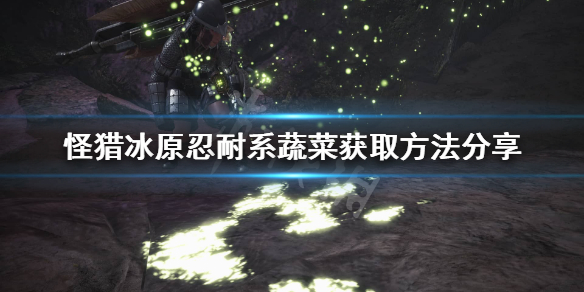 怪猎冰原忍耐系蔬菜怎么获取