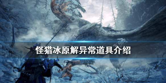 怪物猎人世界冰原解异常道具有哪些(怪物猎人冰原宝物)