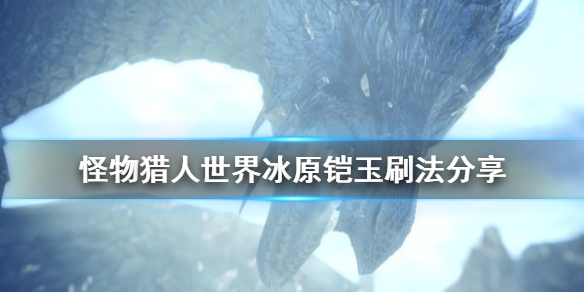 怪物猎人世界冰原铠玉怎么刷 怪物猎人世界冰原大龙玉怎么刷