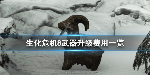生化危机8武器升级费用一览（生化危机8武器怎么升级）