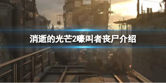消逝的光芒2嚎叫者是什么 消逝的光芒2嚎叫者是什么样子