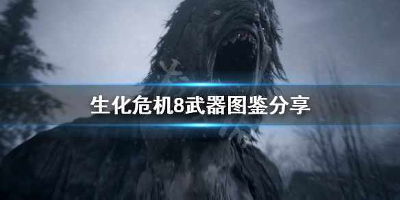 生化危机8武器有哪些 生化危机8武器有哪些