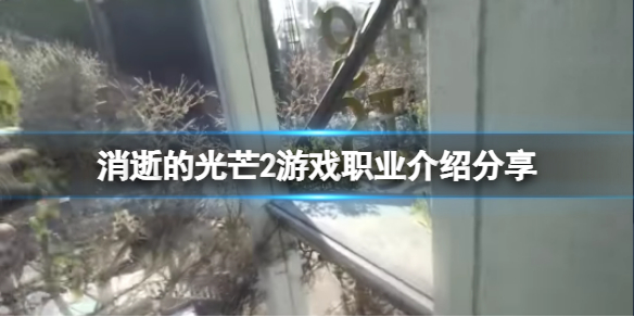 消逝的光芒2有什么职业（消逝的光芒2哪个版本好）