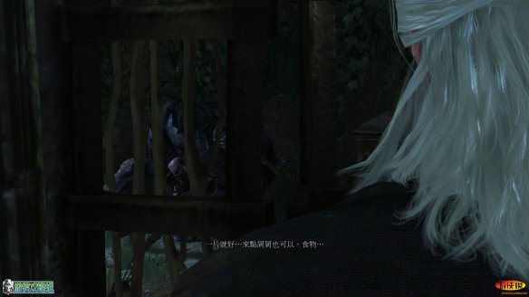 《巫师3：狂猎》图文攻略 主线任务+支线任务+狩猎任务+操作介绍+技能说明 操作介绍