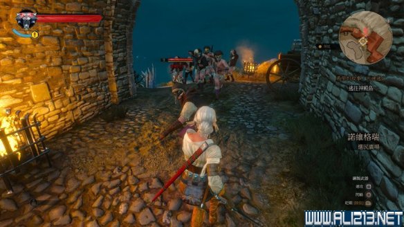 《巫师3:狂猎》图文流程攻略 主线+分支任务 序章