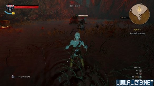 《巫师3:狂猎》图文流程攻略 主线+分支任务 序章