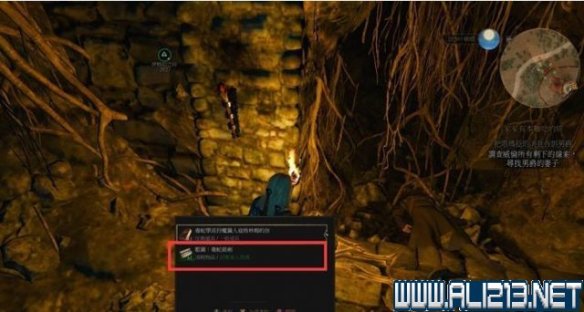 《巫师3：狂猎》毒蛇学派寻宝任务做法及毒蛇装备拿法详解攻略