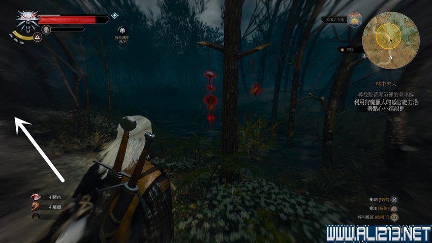 《巫师3:狂猎》图文流程攻略 主线+分支任务 序章