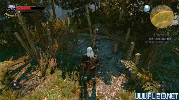 《巫师3:狂猎》图文流程攻略 主线+分支任务 序章