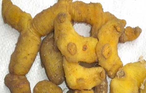 黄精的产地有哪些（黄精的主产地在哪里?）