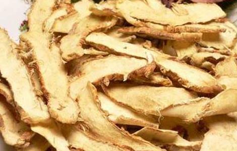 知母高产种植技术（知母栽培技术）