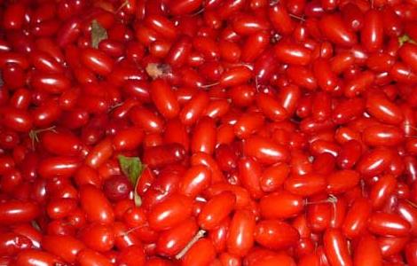 山茱萸的炮制方法（山茱萸的炮制方法是( A清蒸法B酒蒸法C水煮法D煅炭法）