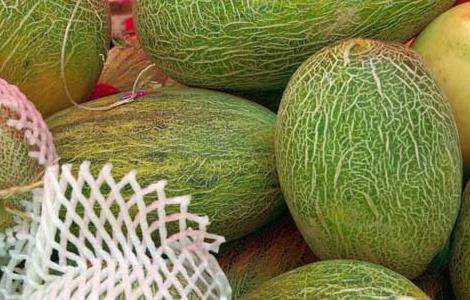 哈密瓜的产地分布 哈密瓜的产地分布地图