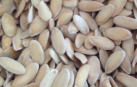 哈密瓜种子处理方法 哈密瓜种子处理方法图解