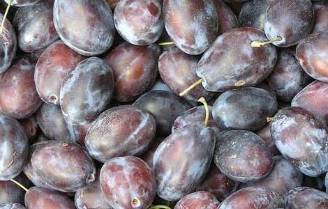 西梅产地在哪里（西梅产地在哪里?）