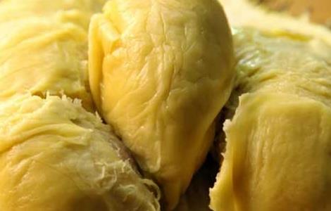 榴莲怎么挑选才好 榴莲怎么挑选好吃肉多