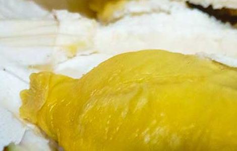 榴莲坏了是什么样的 榴莲坏了是什么样的图片大全