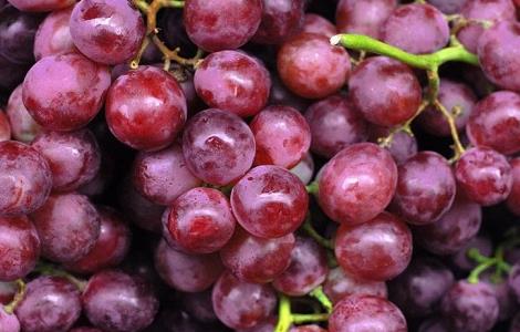 葡萄烂果的病因及防治措施（葡萄烂果的病因及防治措施图片）