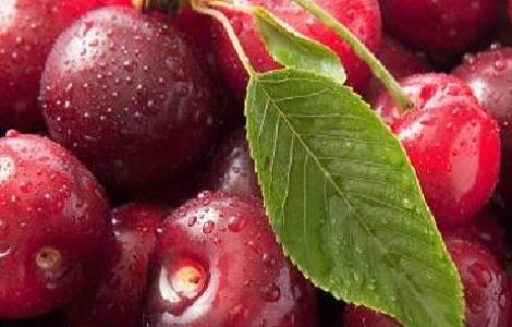 樱桃里面有虫子怎么办(樱桃里面有虫子怎么办视频)