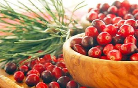 蔓越莓的种植技术与条件（蔓越莓的种植技术与条件是什么）