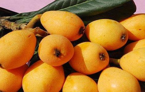 如何提高枇杷产量（如何管理枇杷才能得到高产）