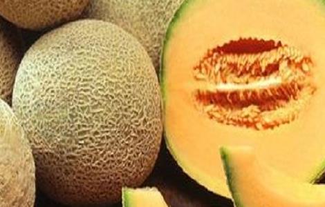哈密瓜裂瓜的原因与防治方法（哈密瓜裂口的原因）