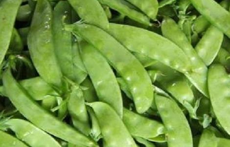 荷兰豆的种植方式 荷兰豆的种植方式有哪些
