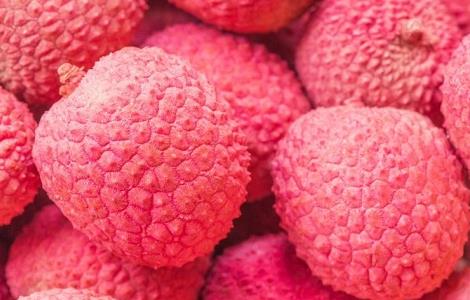 如何提高荔枝的产量（如何提高荔枝的产量呢）