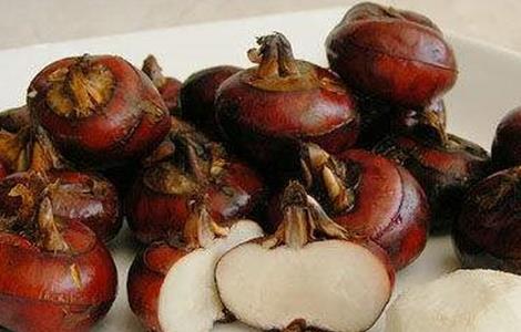 荸荠该怎么种 荸荠该怎么种植