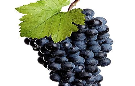 葡萄膨大处理好吗（阴天葡萄可以处理膨大吗）