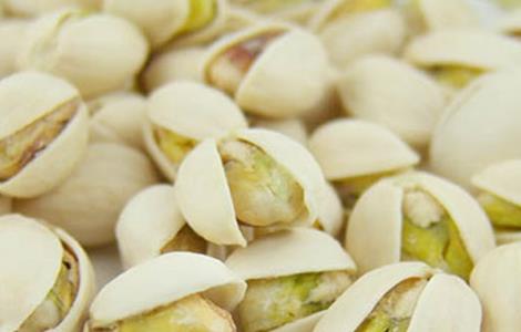 开心果树种植的注意事项 开心果养殖方法和注意事项