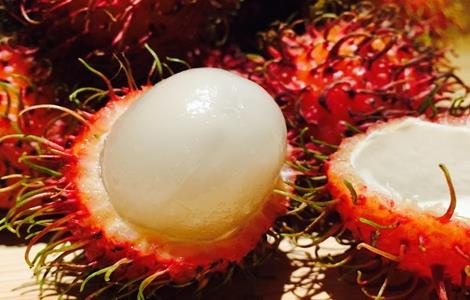 注意事项 红毛丹 种植