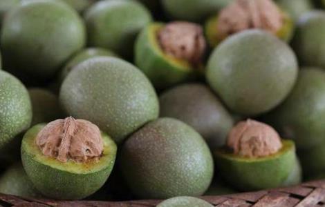 核桃树的管理要点（核桃树的管理要点有哪些）