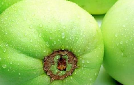 甜瓜产生畸形果的原因及防治方法 甜瓜产生畸形果的原因及防治方法是什么