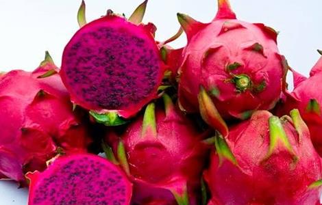 红心火龙果的种植方法(红心火龙果的种植方法和技术)