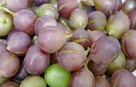 葡萄该如何补钙（葡萄该如何补钙最好）