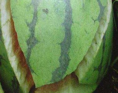 怎样防止西瓜裂果 怎样防止西瓜裂果的方法