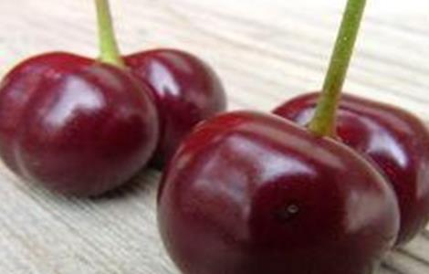 樱桃双胞胎果发生原因及防治措施 樱桃双果是什么原因