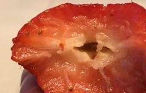 草莓空心预防措施 草莓空心病怎么预防