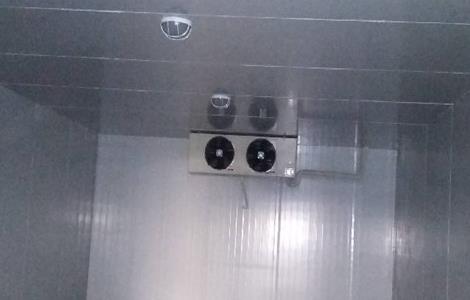 桃子的保鲜方法 桃子的保鲜方法储存方法