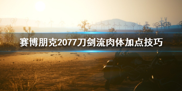 赛博朋克2077刀剑流肉体怎么加点 赛博朋克2077刀剑专长怎么刷