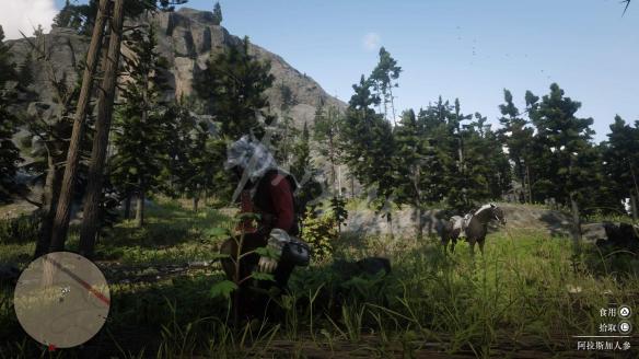 荒野大镖客2药草位置图文大全 荒野大镖客2 全部43种草药分布高清地图