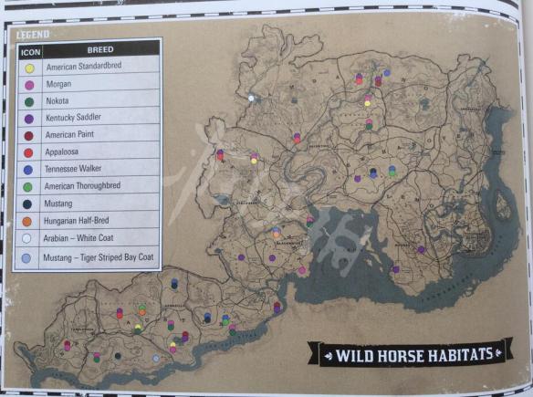 荒野大镖客2虎纹野马怎么获得(荒野大镖客2虎纹野马在哪买)