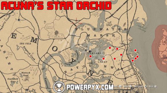 荒野大镖客2全稀有花朵位置地图标注 荒野大镖客2野花地图