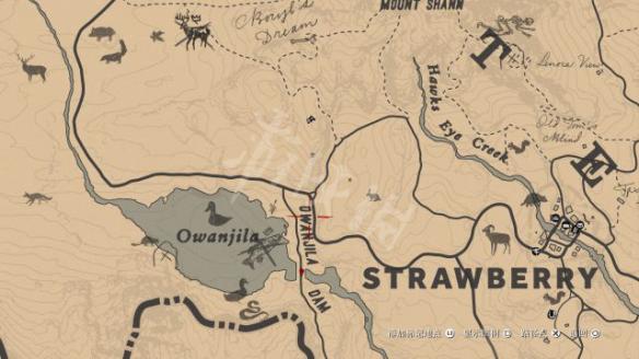 荒野大镖客2奖杯攻略要点分析 荒野大镖客2奖杯攻略要点分析视频