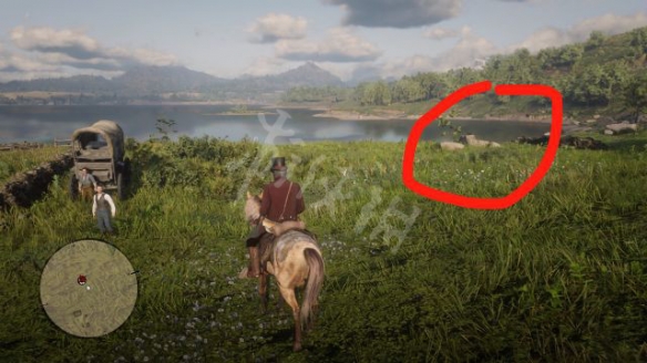 荒野大镖客2怎么无限卖马（荒野大镖客2马可以卖钱吗）