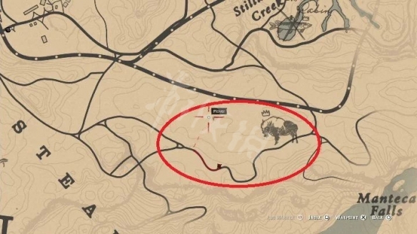 荒野大镖客2野牛用什么打（荒野大镖客2野牛用什么打的）